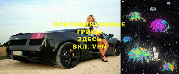 ешки Аркадак